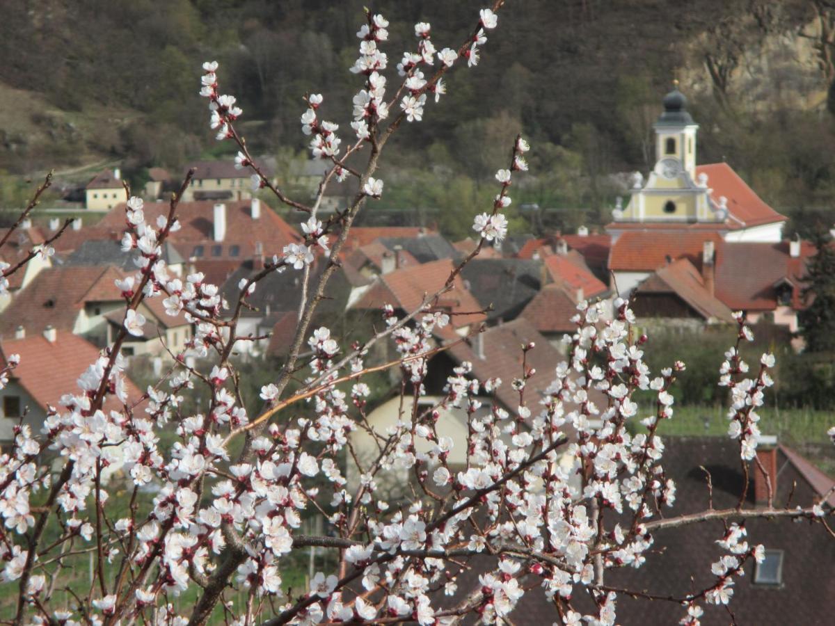 Wösendorf Gaestehaus Rudolf U. Sandra Denk מראה חיצוני תמונה